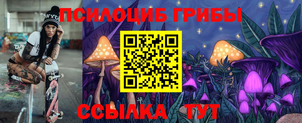 Псилоцибиновые грибы Psilocybe  Вход с VPN  Псилоцибиновые грибы мицелий  Барабинск 